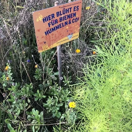 Mp 6 Nordstern Apartment *